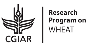 CGIAR Research Program on Wheat