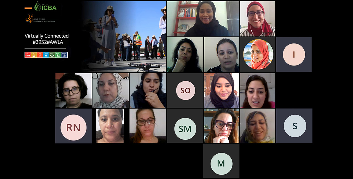 The association was launched by Dr. Tarifa Al Zaabi, Deputy Director-General of ICBA during the first virtual session of the network, which was attended by 18 of 22 members of the alumnae, in addition to ICBA scientists; the inaugural session was symbolized by a digital code (phoneword) for AWLA, 2952. 